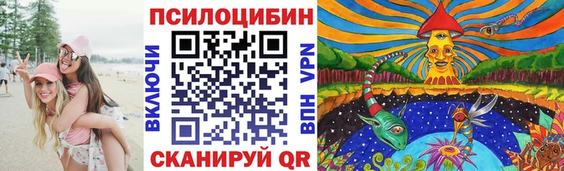 Галлюциногенные грибы Psilocybe гидра маркетплейс Арсеньев закладки